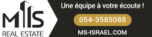 MS real estate Netanya