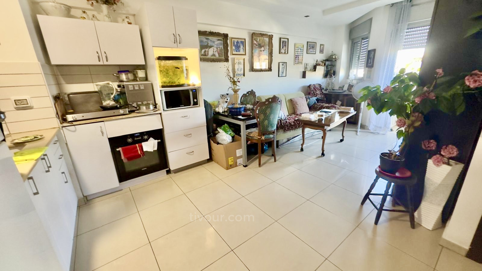 Apartamento 2 cômodos Ashdod À beira-mar 210-IBL-1965