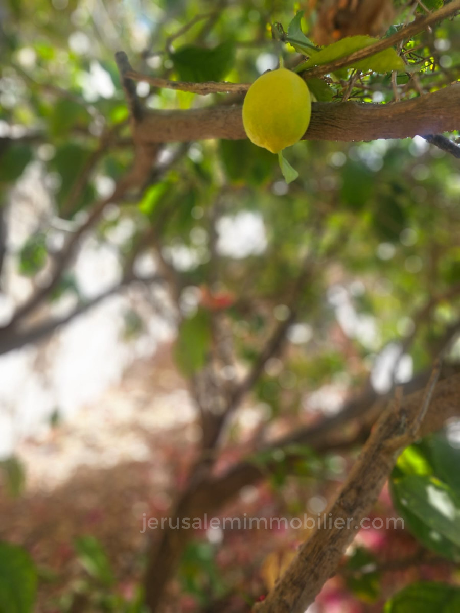 Apartamento garden 7.5 cômodos Bet Shemesh Ramat Alef 226-IBL-1873