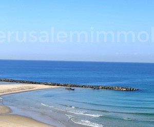 Venda Apartamento Netanya