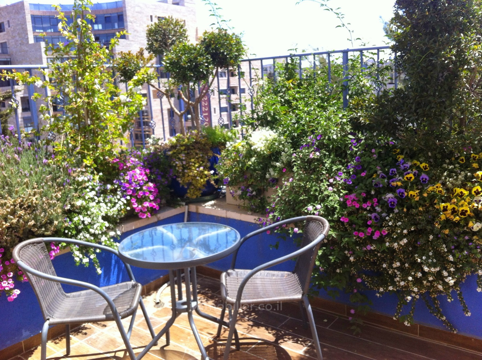 Apartamento 5 cômodos Jerusalém Katamon hayeshana 245-IBL-1879