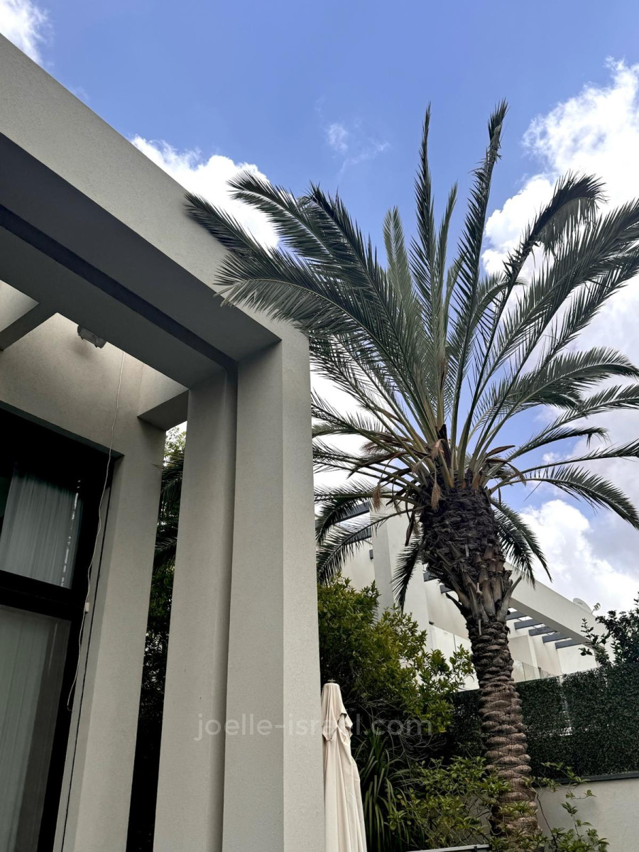 Casarão 10 cômodos Raanana Raanana 316-IBL-1696