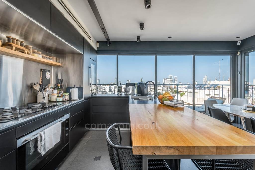 Duplex-Cobertura 5 cômodos Tel Aviv Shenkin 342-IBL-6210