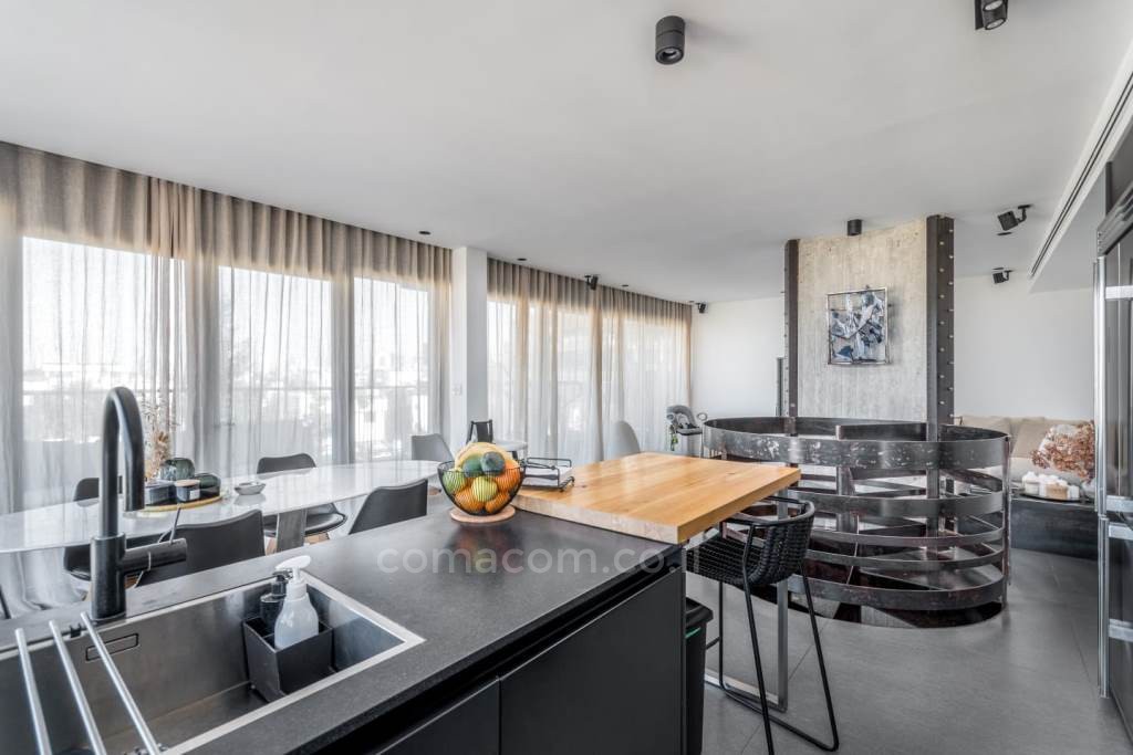 Duplex-Cobertura 5 cômodos Tel Aviv Shenkin 342-IBL-6210