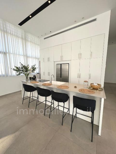 Duplex-Cobertura 4 cômodos Tel Aviv Centro da cidade 342-IBL-6743