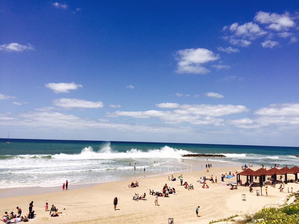 Apartamento 4 cômodos Ascalão Barnea 343-IBL-1001