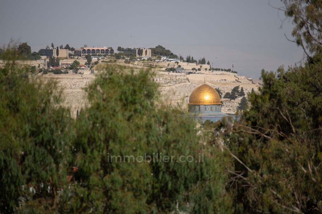 Apartamento 3 cômodos Jerusalém Centro da cidade 343-IBL-1058