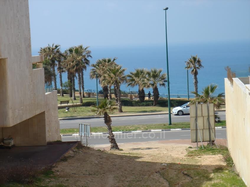 Terrenos 1 cômodos Netanya Nat600 368-IBL-289