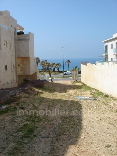 Terrenos 1 cômodos Netanya Nat600 368-IBL-289