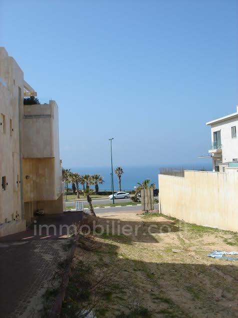 Terrenos 1 cômodos Netanya Nat600 368-IBL-289