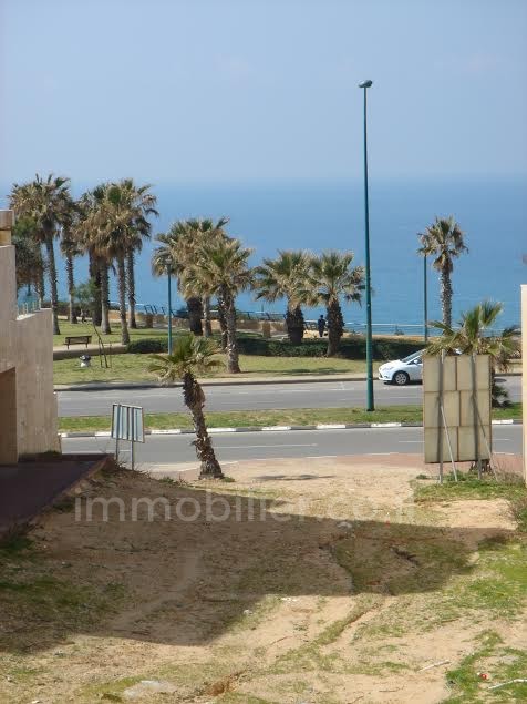 Terrenos 1 cômodos Netanya Nat600 368-IBL-293