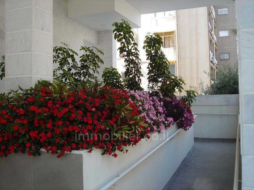 Cobertura 5 cômodos Netanya Centro da cidade 368-IBL-305