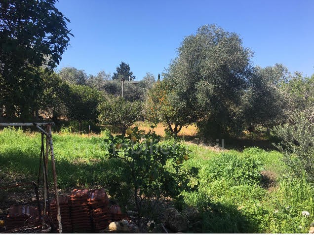 Terrenos 1 cômodos Zichon yaacov Zichon yaacov 368-IBL-363