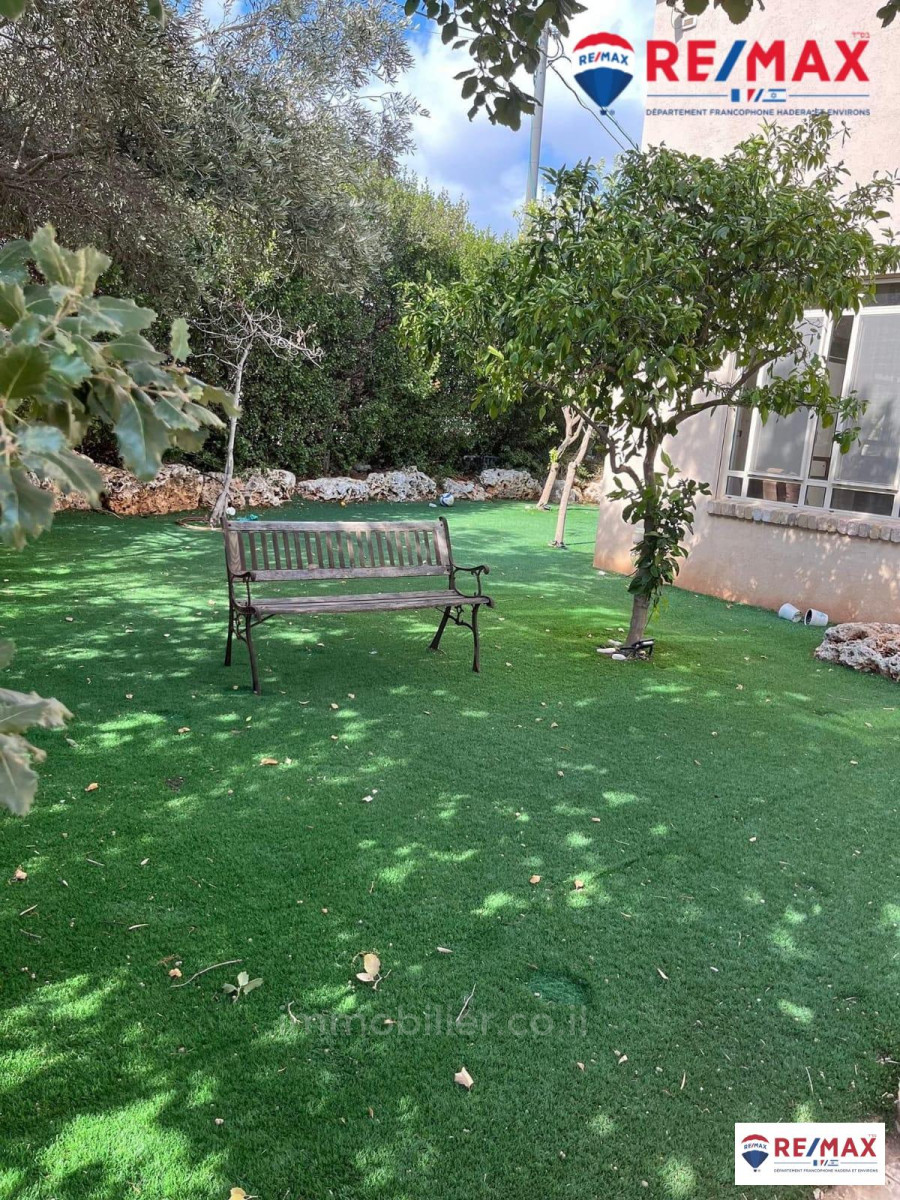 Casarão 6 cômodos Hadera brandes 379-IBL-363