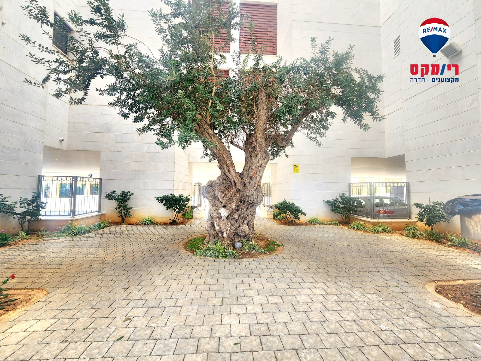 Cobertura 5 cômodos Hadera Centro da cidade 379-IBL-390