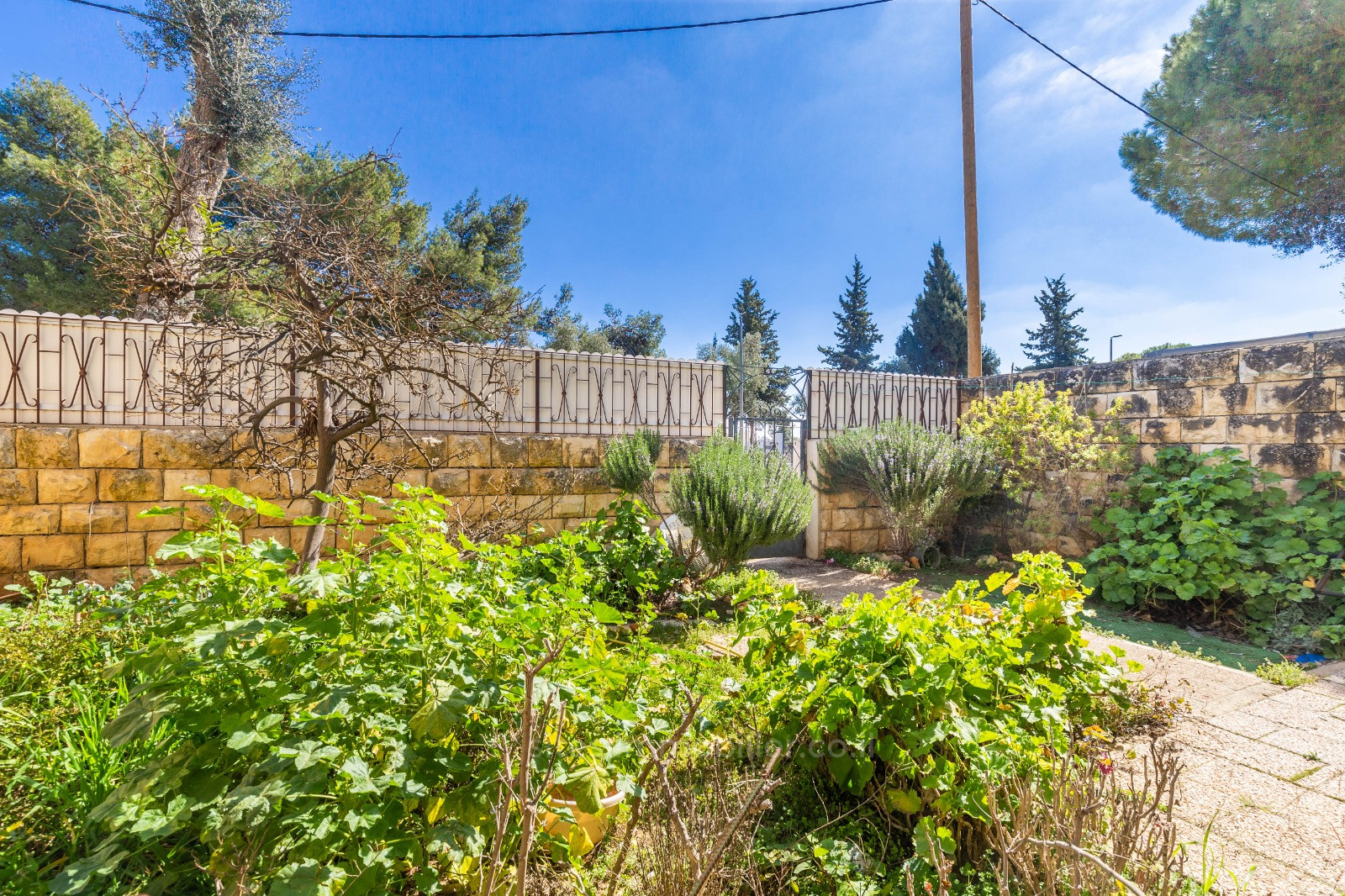 Casarão 4 cômodos Jerusalém Gilo 457-IBL-1245