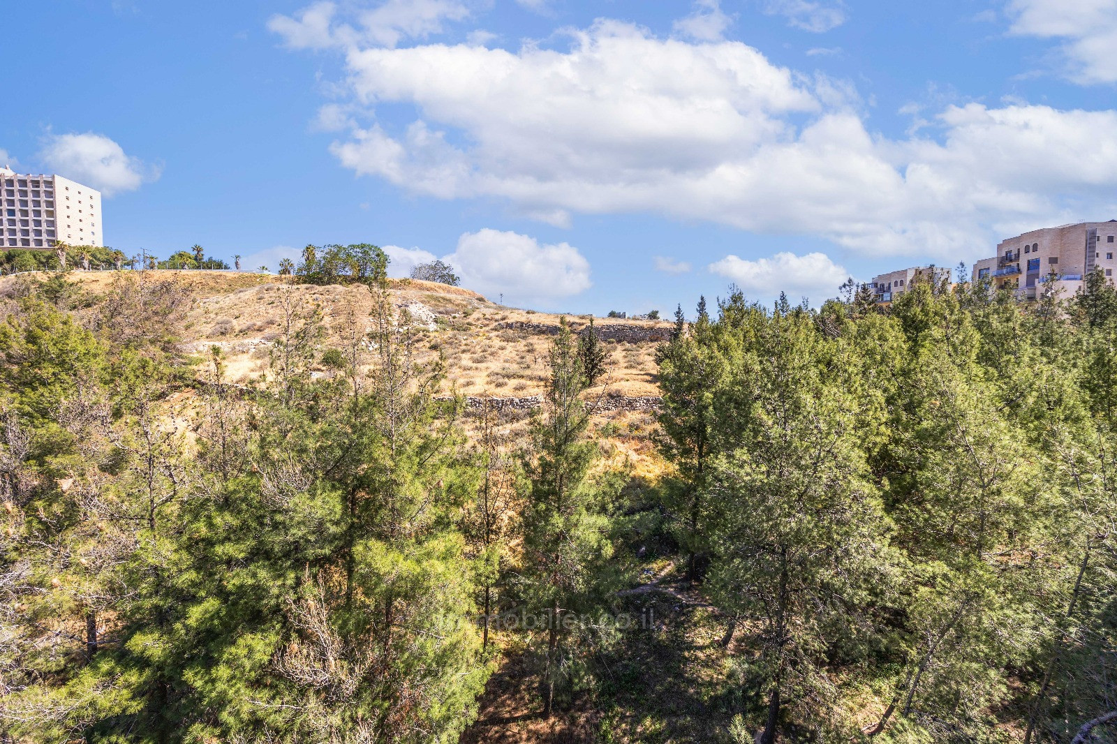 Apartamento 4 cômodos Jerusalém Talpiot 457-IBL-1466