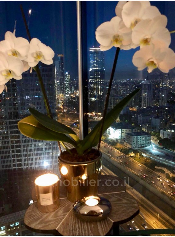 Apartamento 3 cômodos Tel Aviv Sarona 473-IBL-263