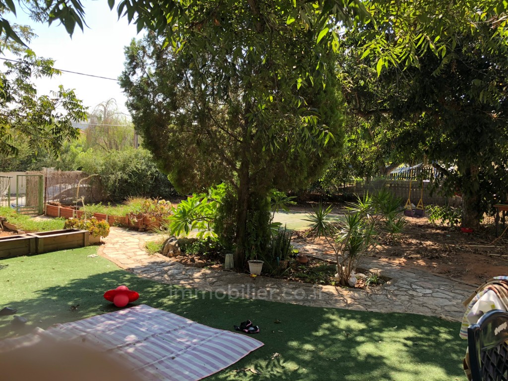 Casarão 4 cômodos Benyamina Benyamina 481-IBL-11