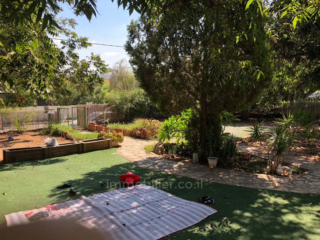 Casarão 4 cômodos Benyamina Benyamina 481-IBL-11