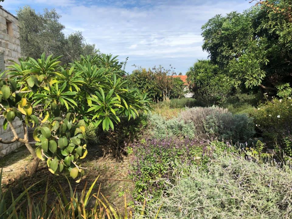 Casarão 10 cômodos Benyamina Benyamina 481-IBL-14