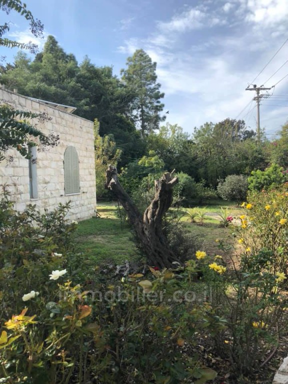 Casarão 10 cômodos Benyamina Benyamina 481-IBL-14