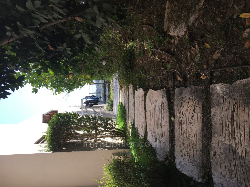 Casarão 5 cômodos Benyamina Benyamina 481-IBL-3