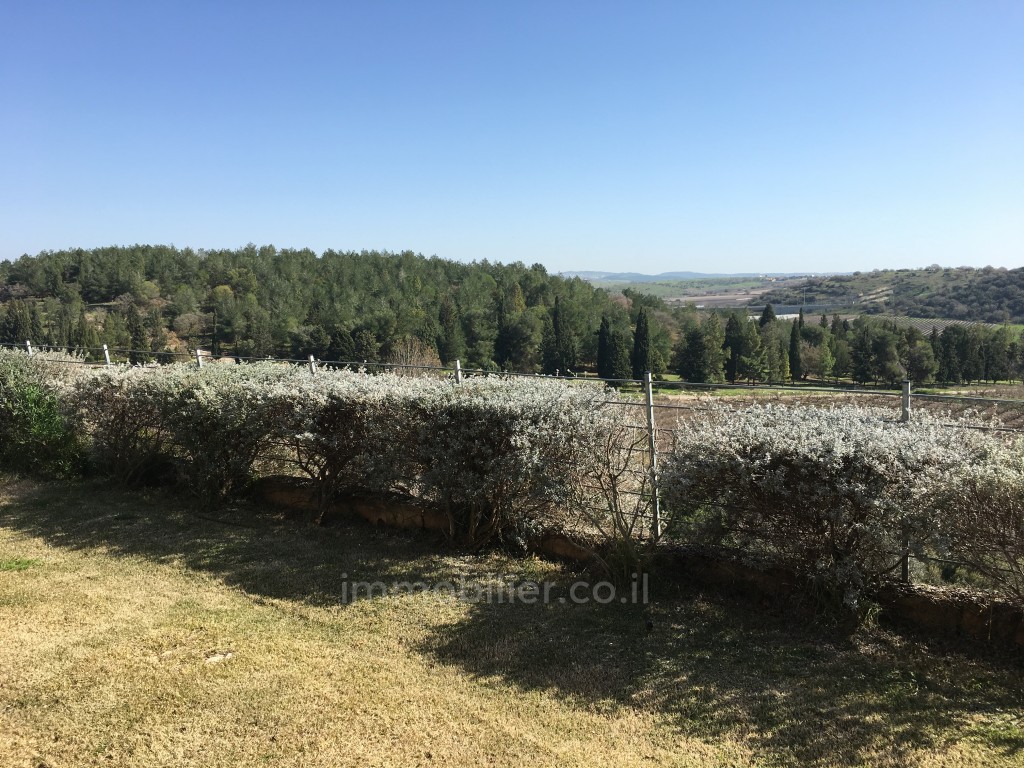 Casarão 5 cômodos Benyamina Benyamina 481-IBL-3