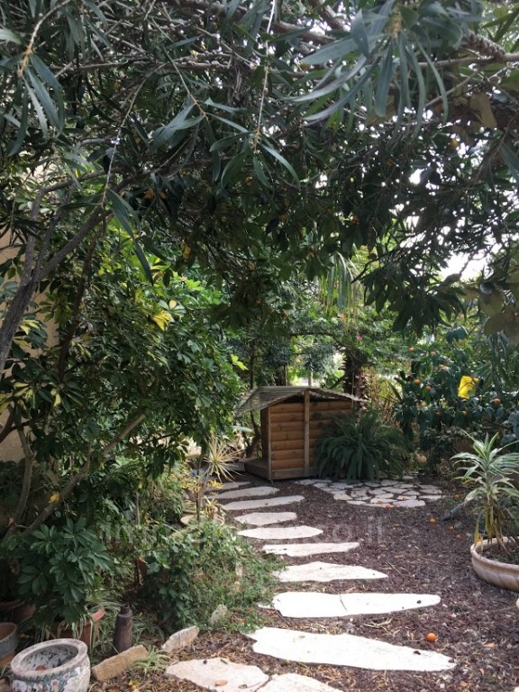 Casarão 6 cômodos Cesareia Cesareia 481-IBL-6