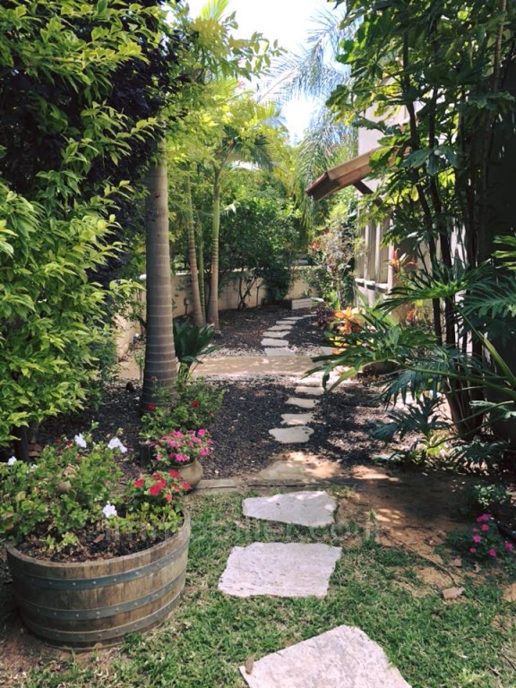 Casa de campo 6 cômodos Benyamina Benyamina 481-IBL-7