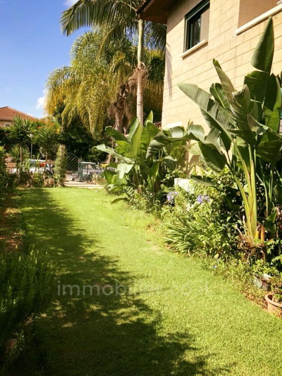 Casarão 7 cômodos Benyamina Benyamina 481-IBL-8