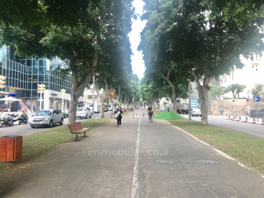 Apartamento 3 cômodos Tel Aviv Rothshild 488-IBL-24