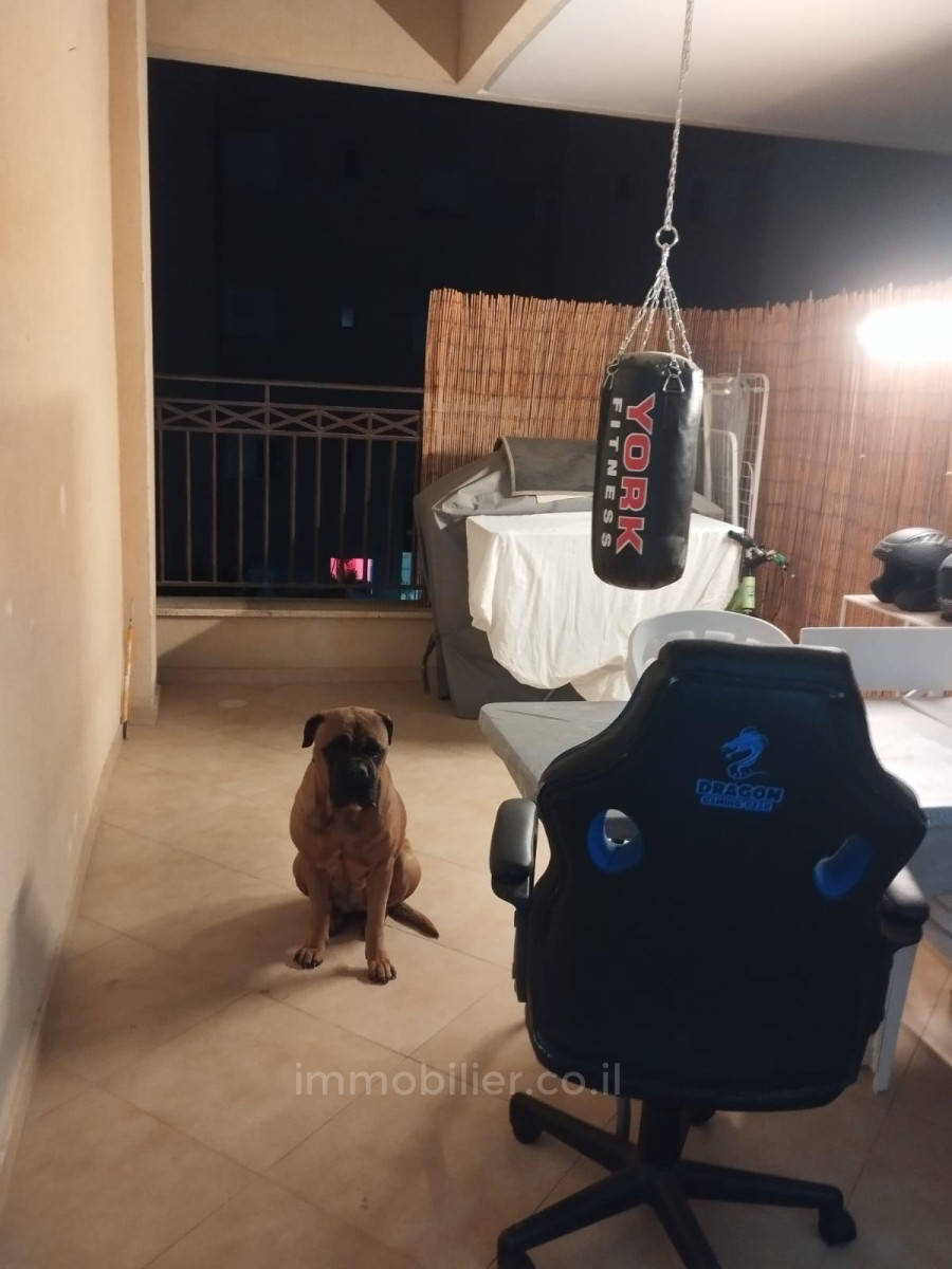 Apartamento 4 cômodos Eilat Shahamon 8 511-IBL-1757