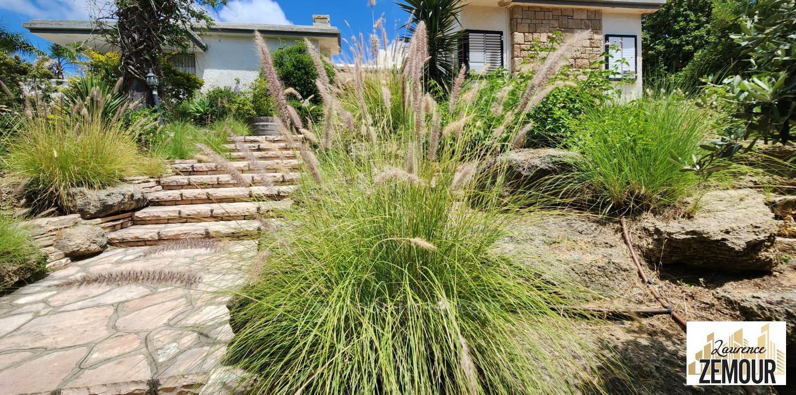 Casarão 6 cômodos Cesareia Cesareia 60-IBL-1323