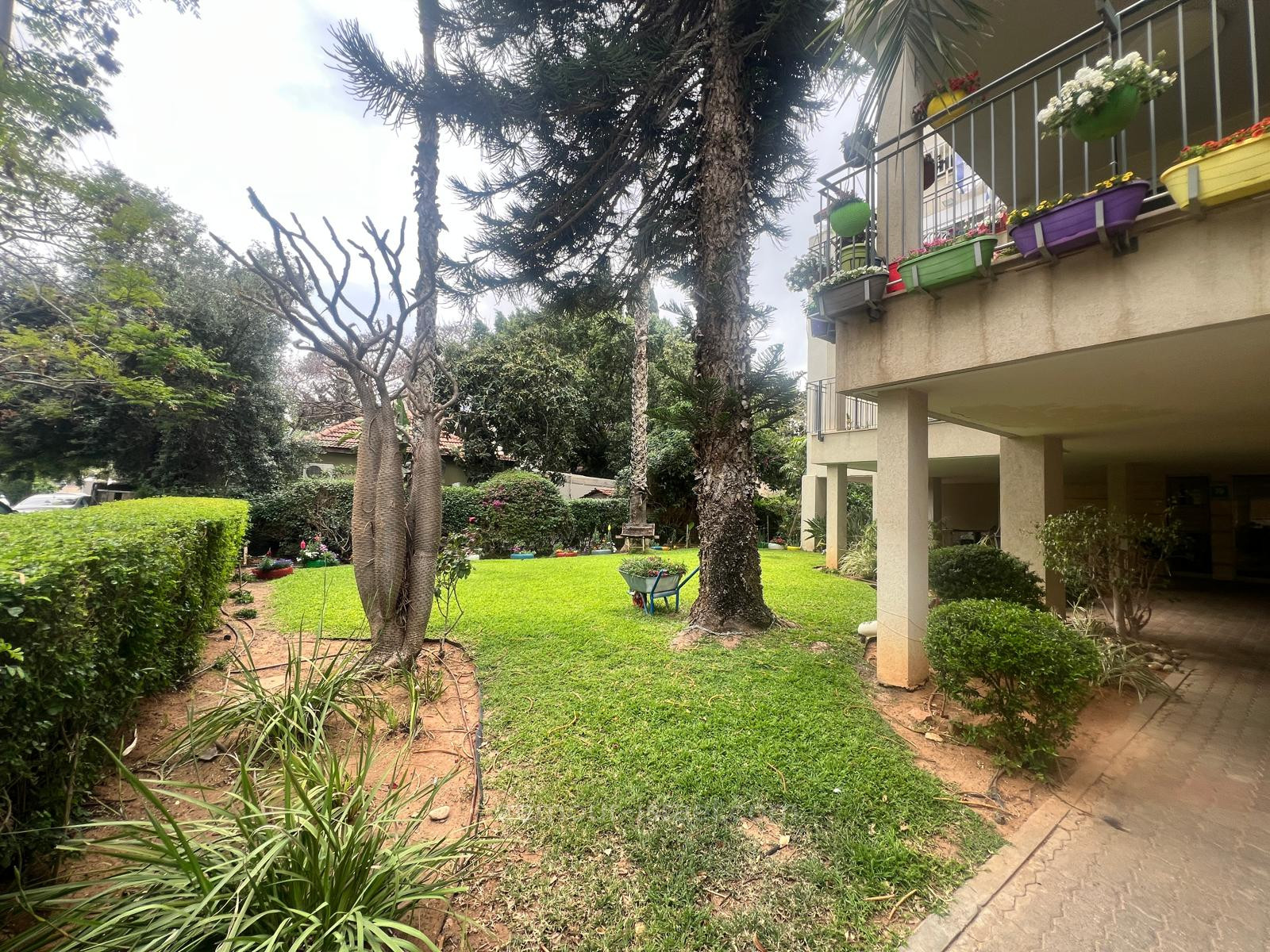 Apartamento 5 cômodos Raanana Est 60-IBL-1417