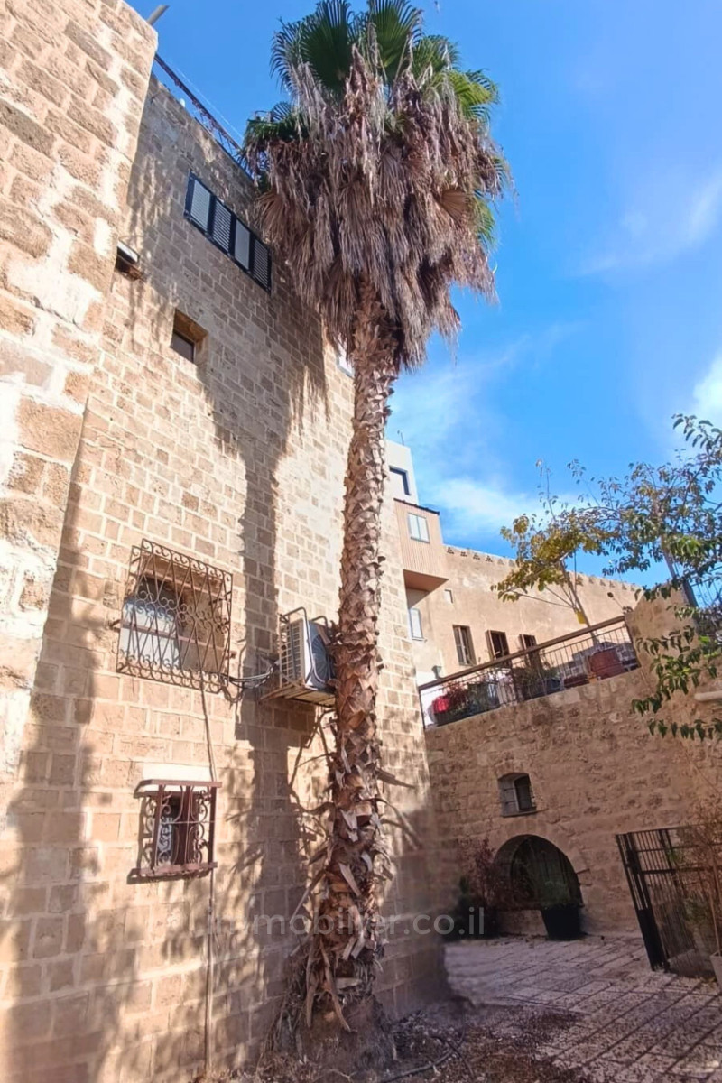 Casa de campo 3 cômodos Tel Aviv Cidade antiga de Jaffa 651-IBL-75