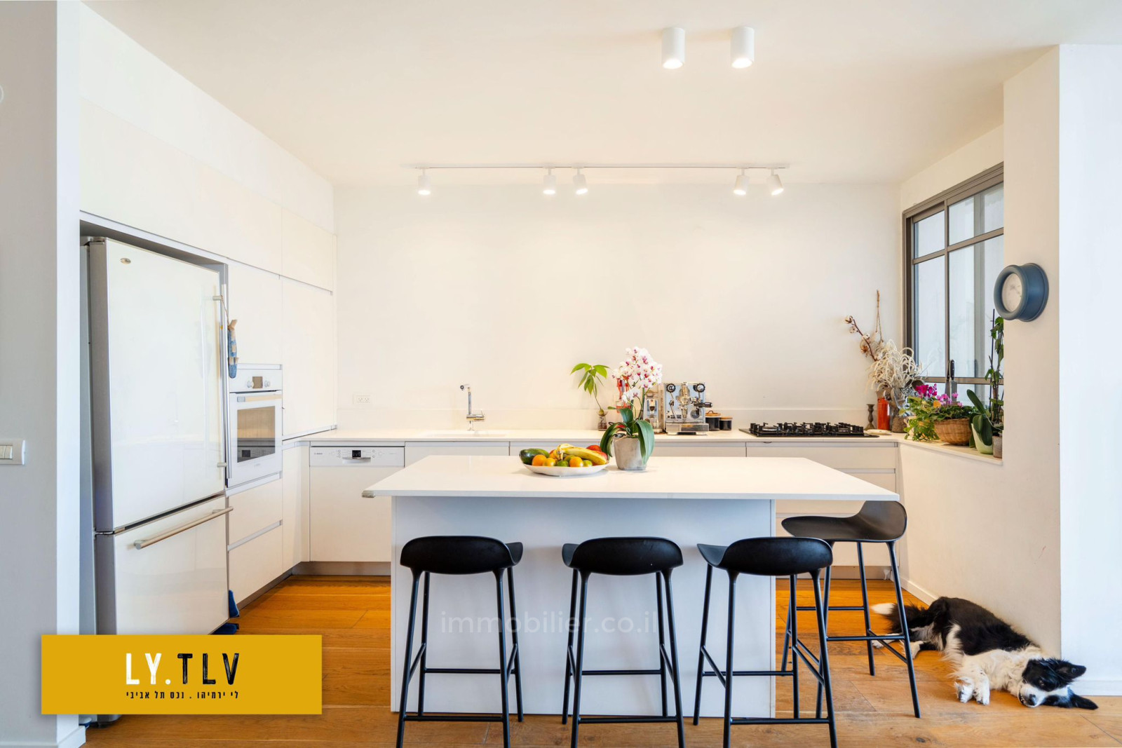 Apartamento 4 cômodos Tel Aviv Yehouda hamakaby 804-IBL-97